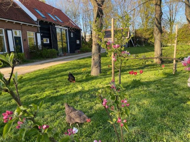 B&B Boerderij De Vaete - Duurzaam Genieten In De Zak Van Zuid-Beveland Heinkenszand Екстер'єр фото